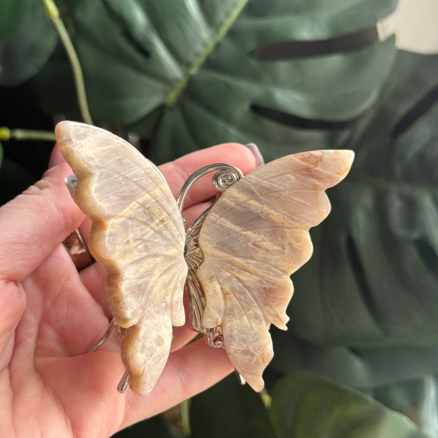 Peach Moonstone Butterfly F
