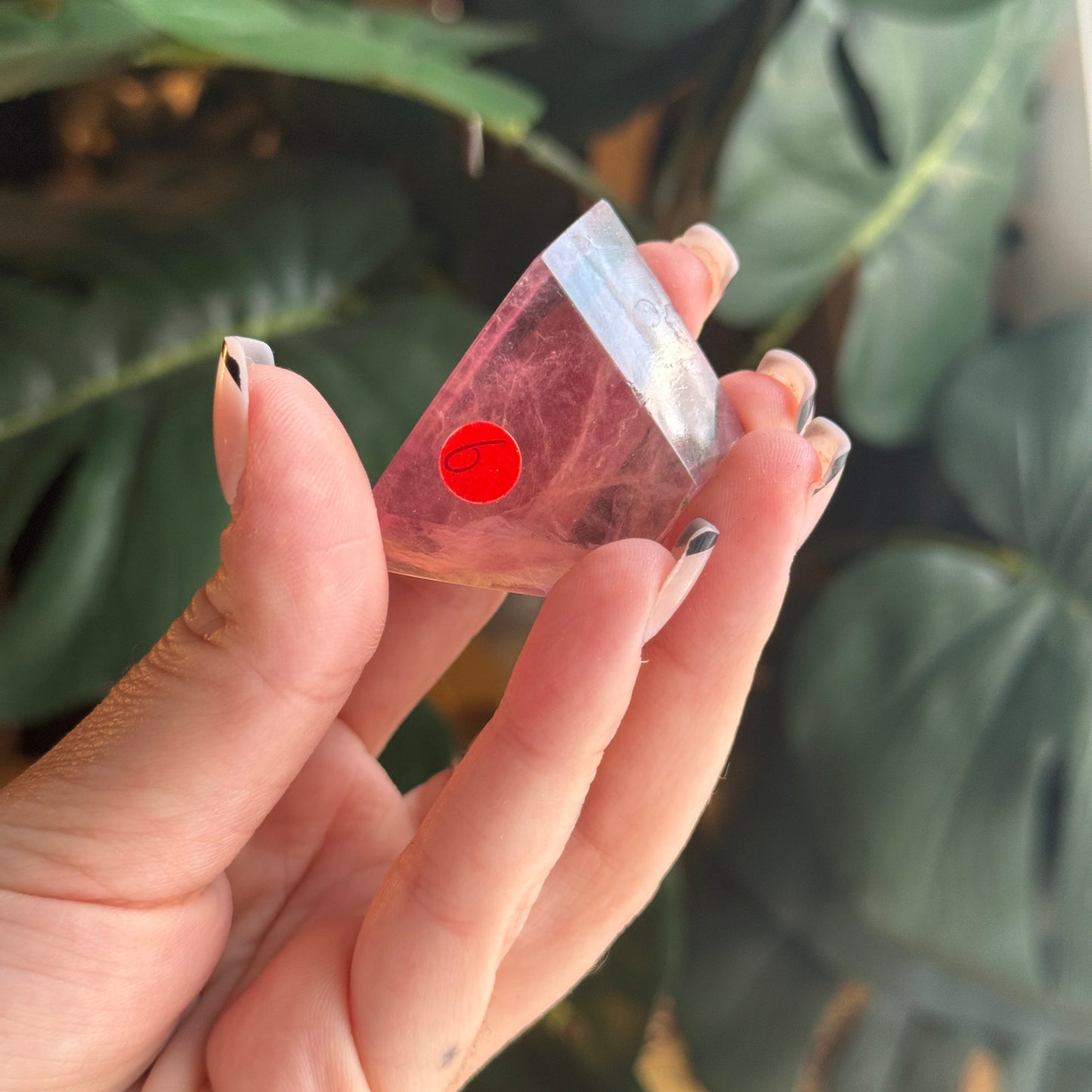 Fluorite Mini Freeform