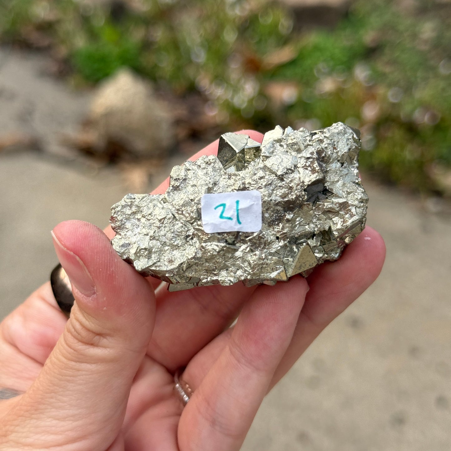 Cubic Pyrite