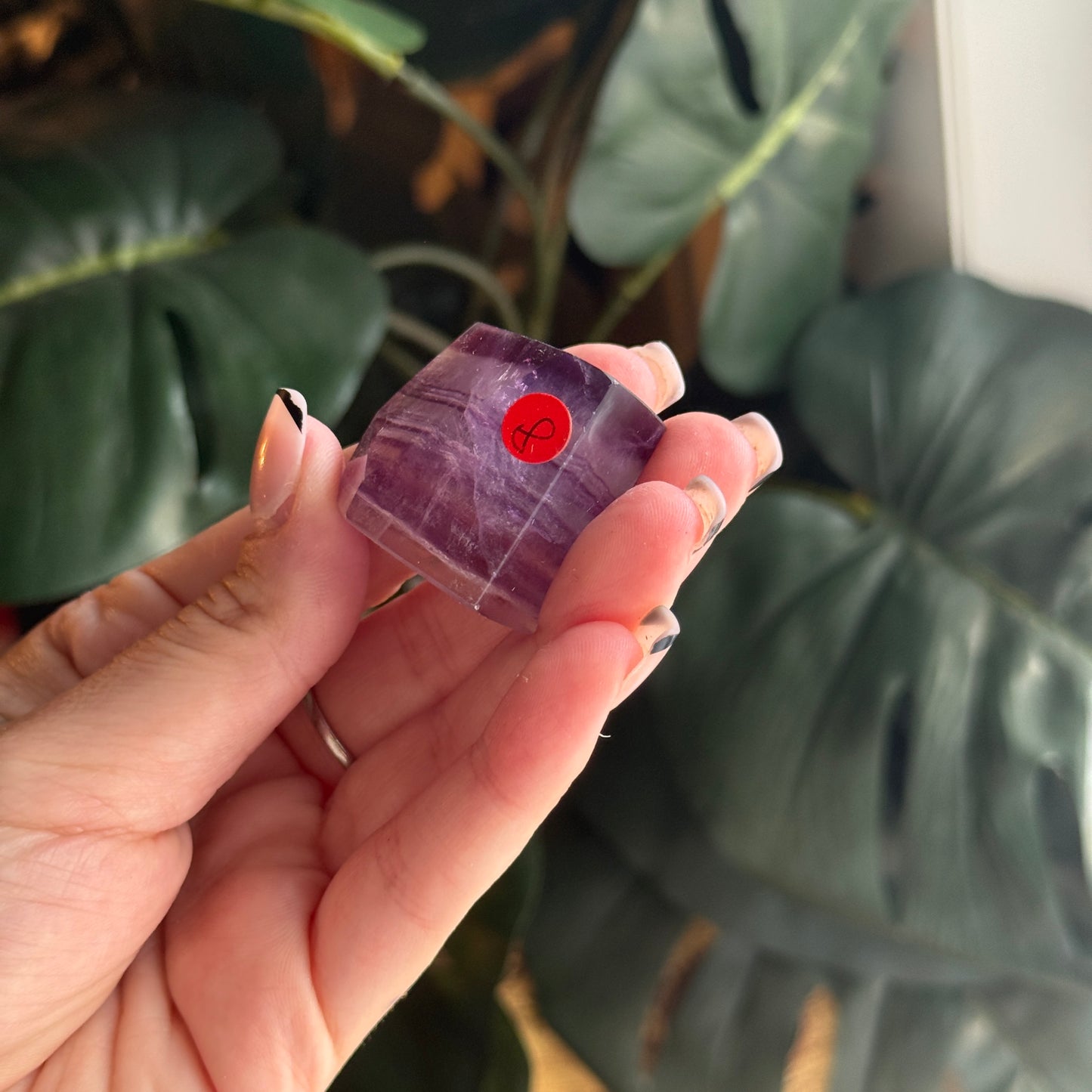 Fluorite Mini Freeform