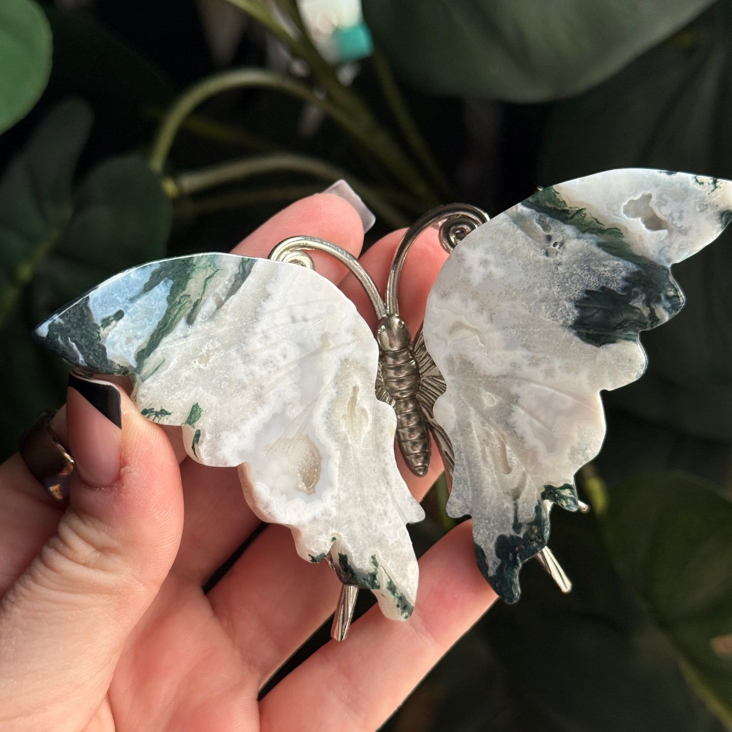 Moss Agate Butterfly F