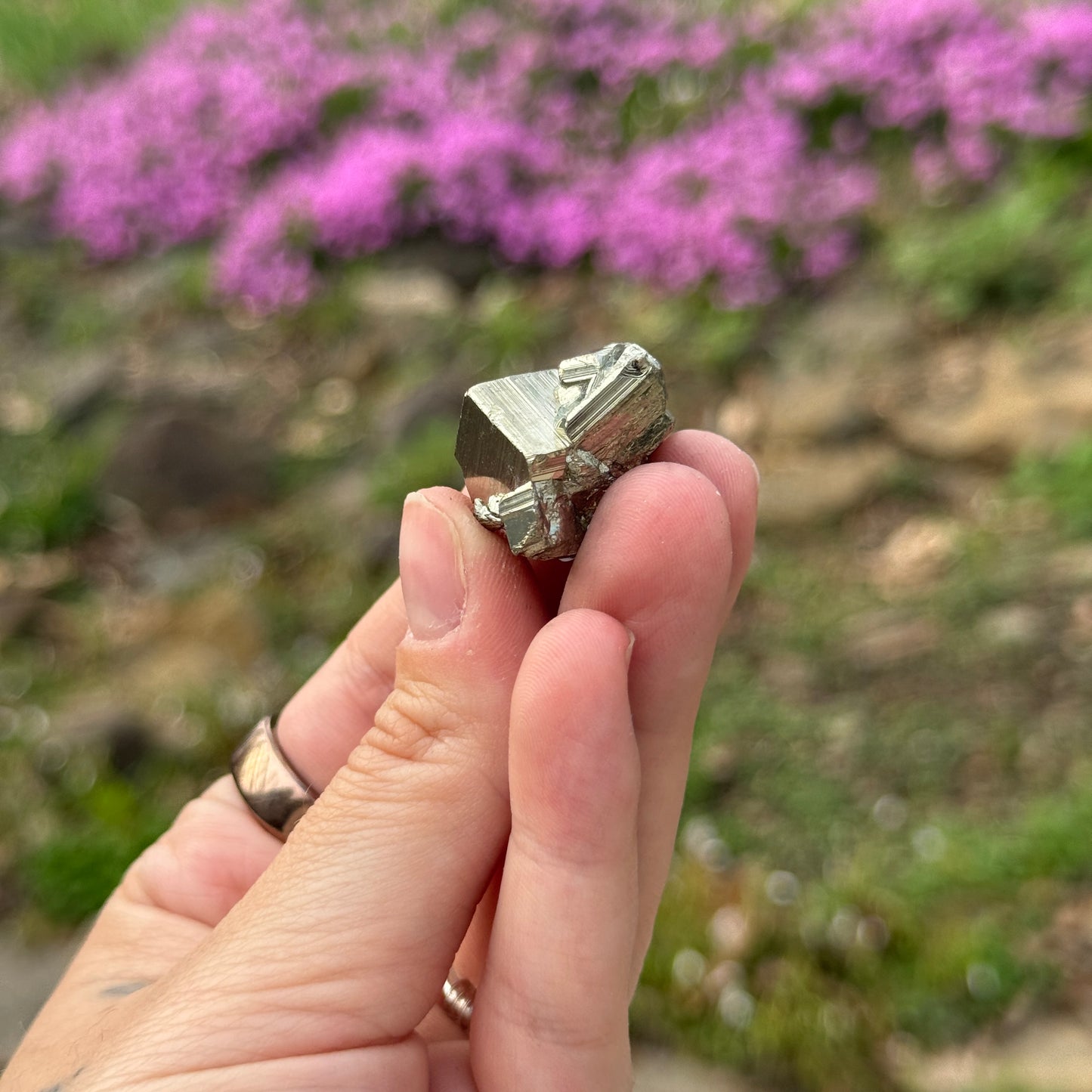 Cubic Pyrite
