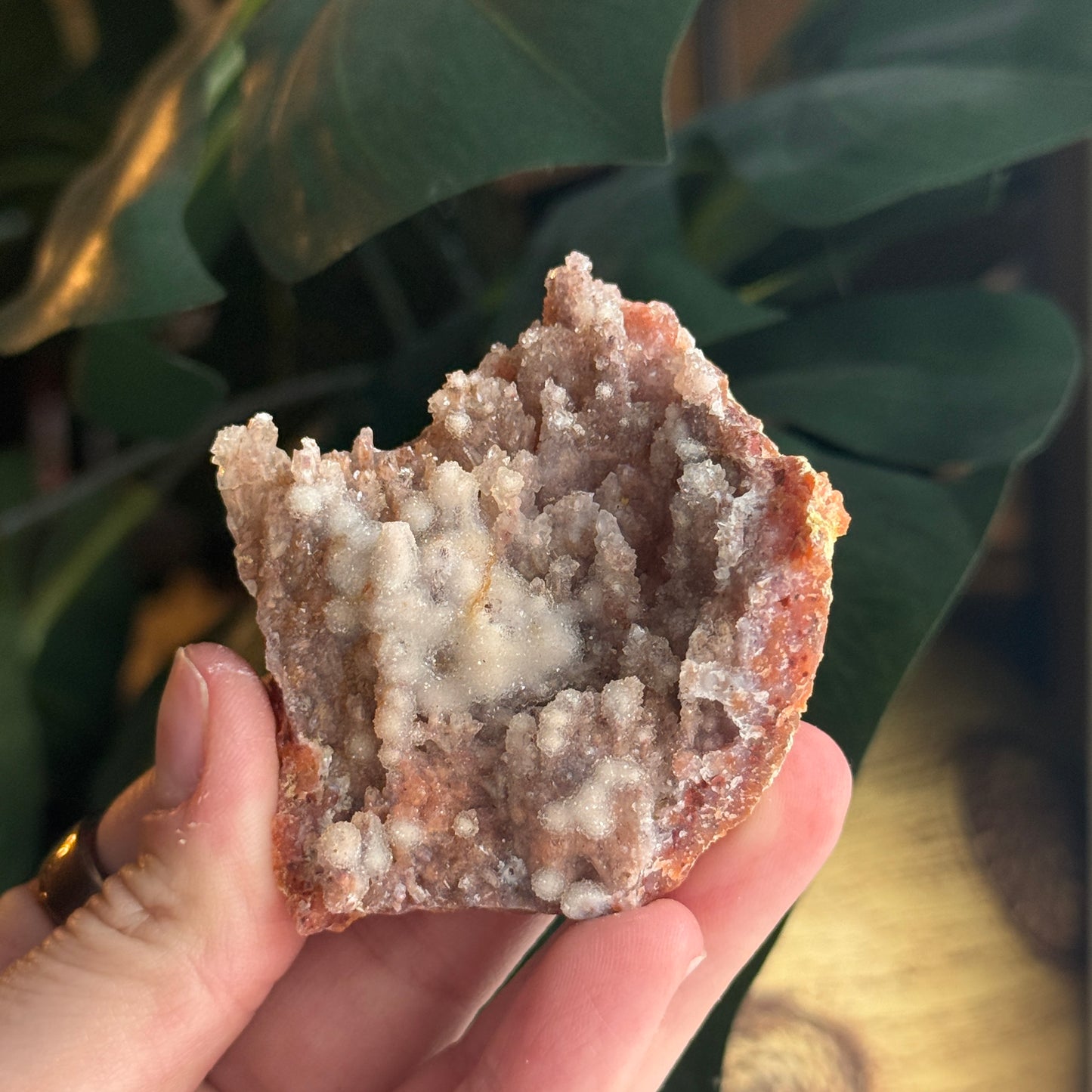 Botryoidal Chalcedony Stalactite