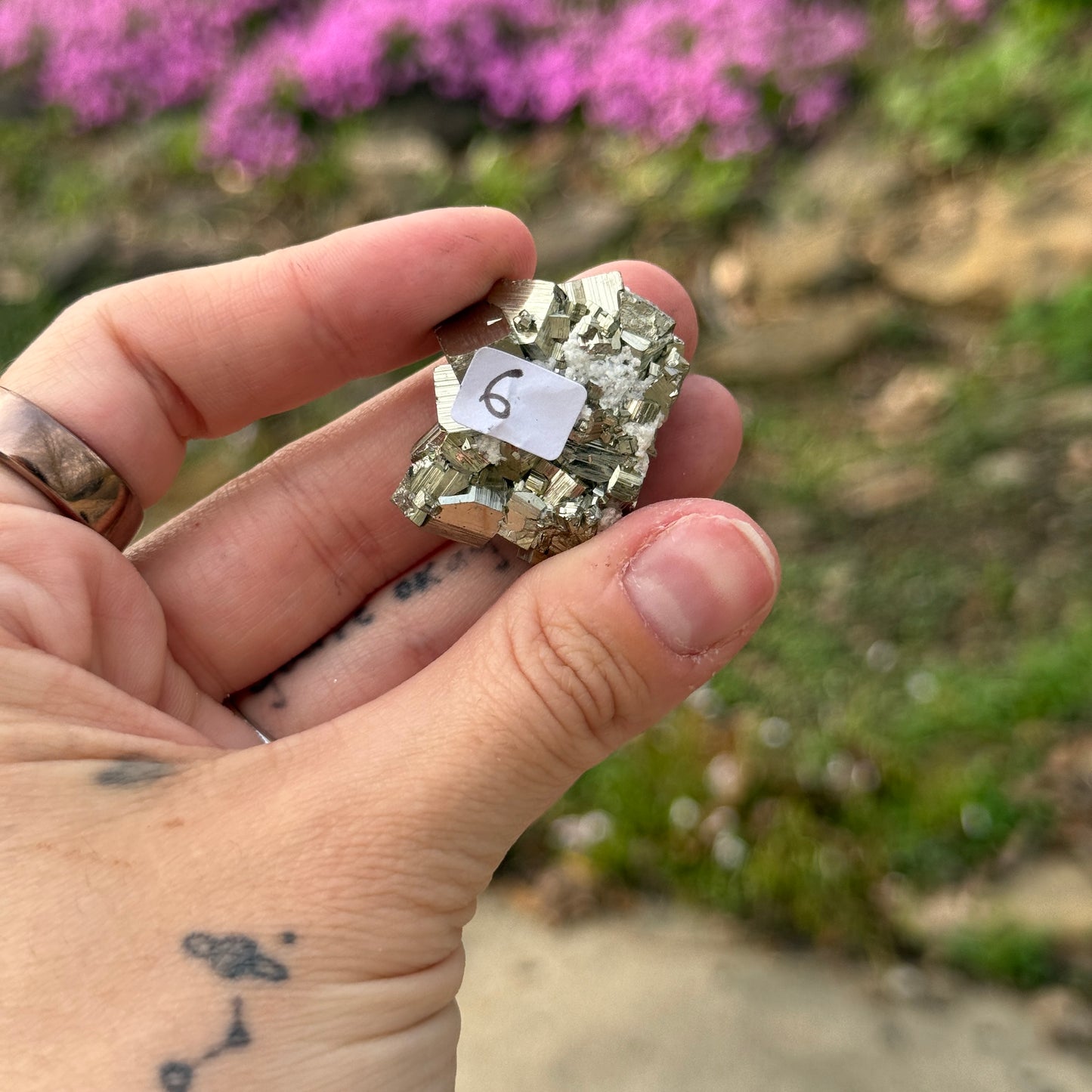 Cubic Pyrite