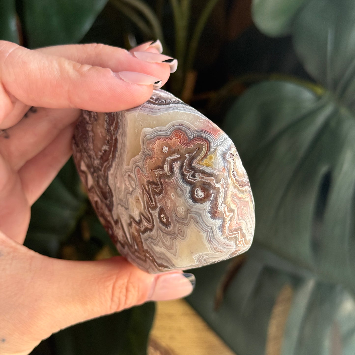 Crazy Lace Agate