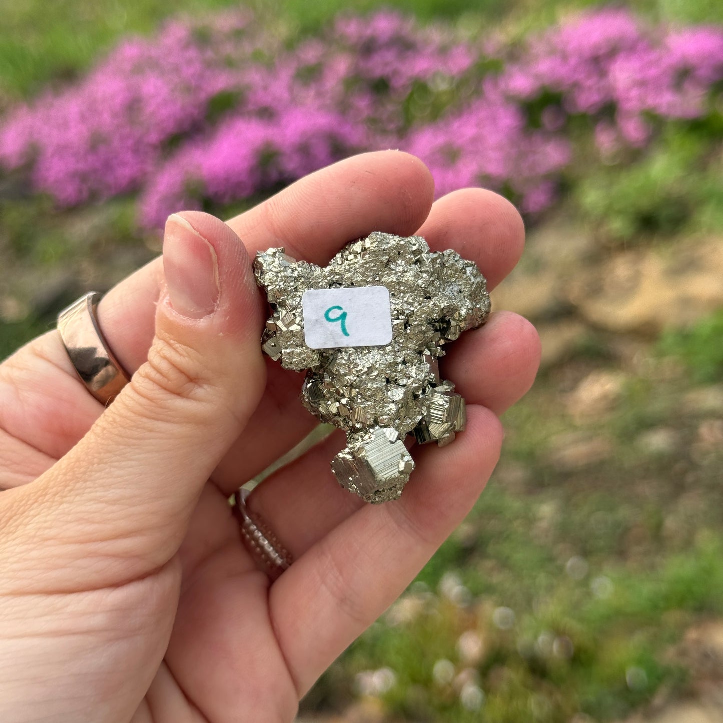 Cubic Pyrite