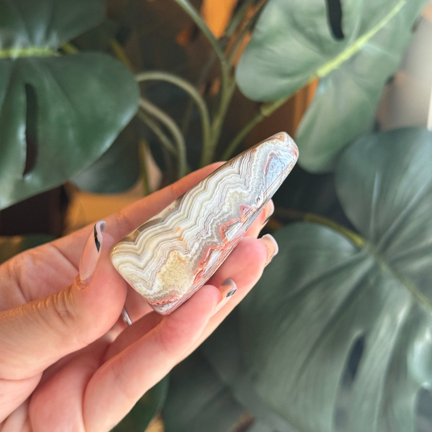 Crazy Lace Agate