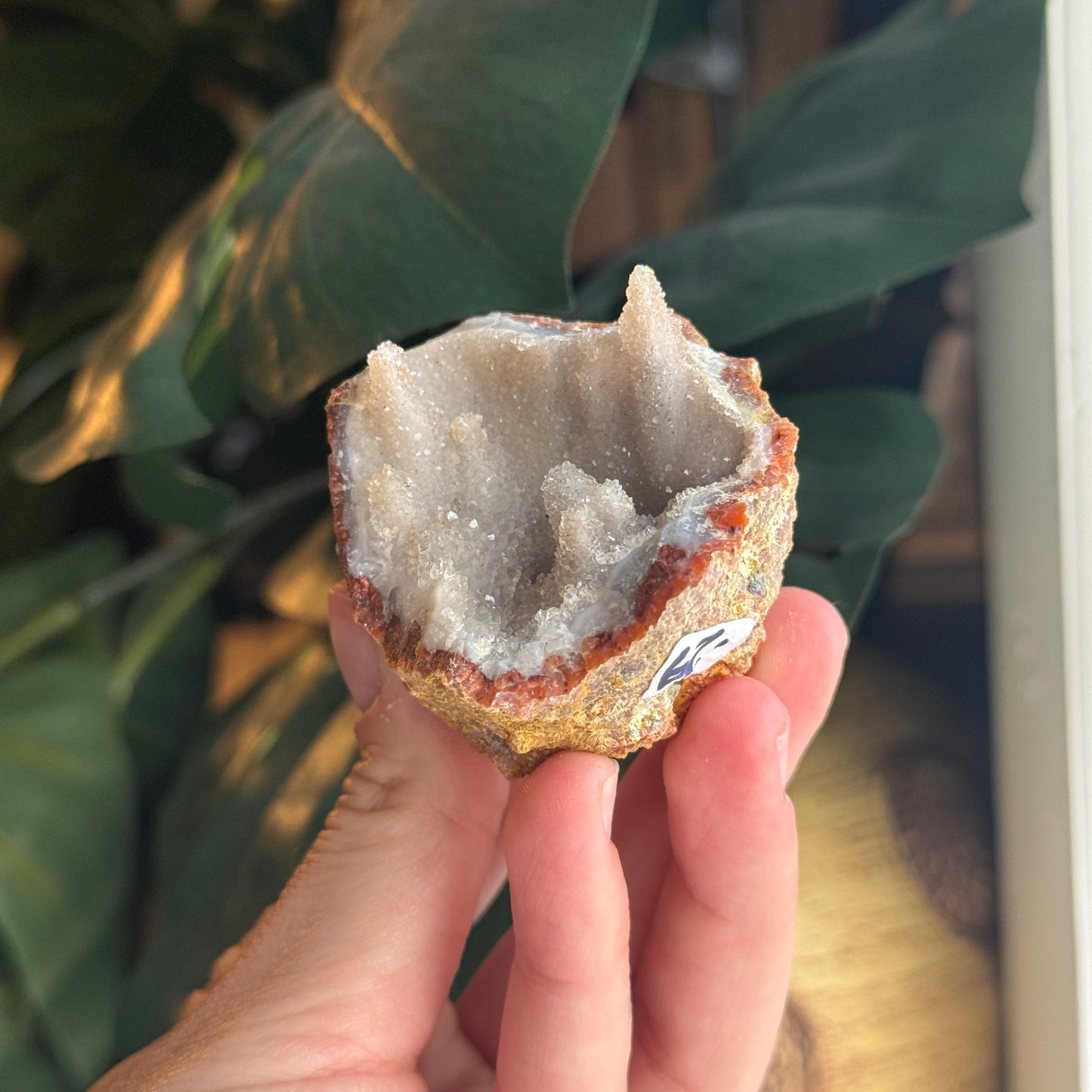Botryoidal Chalcedony