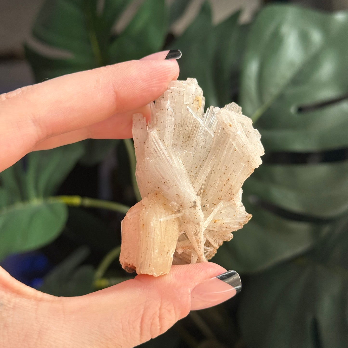 Scolecite on Stilbite Specimen