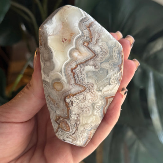 Crazy Lace Agate