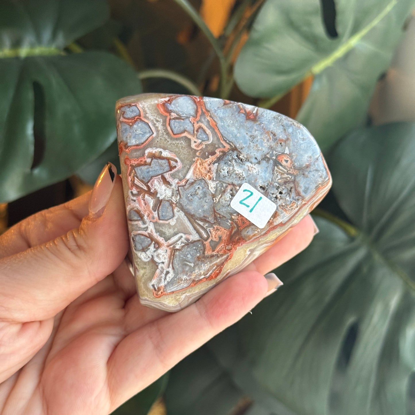 Crazy Lace Agate