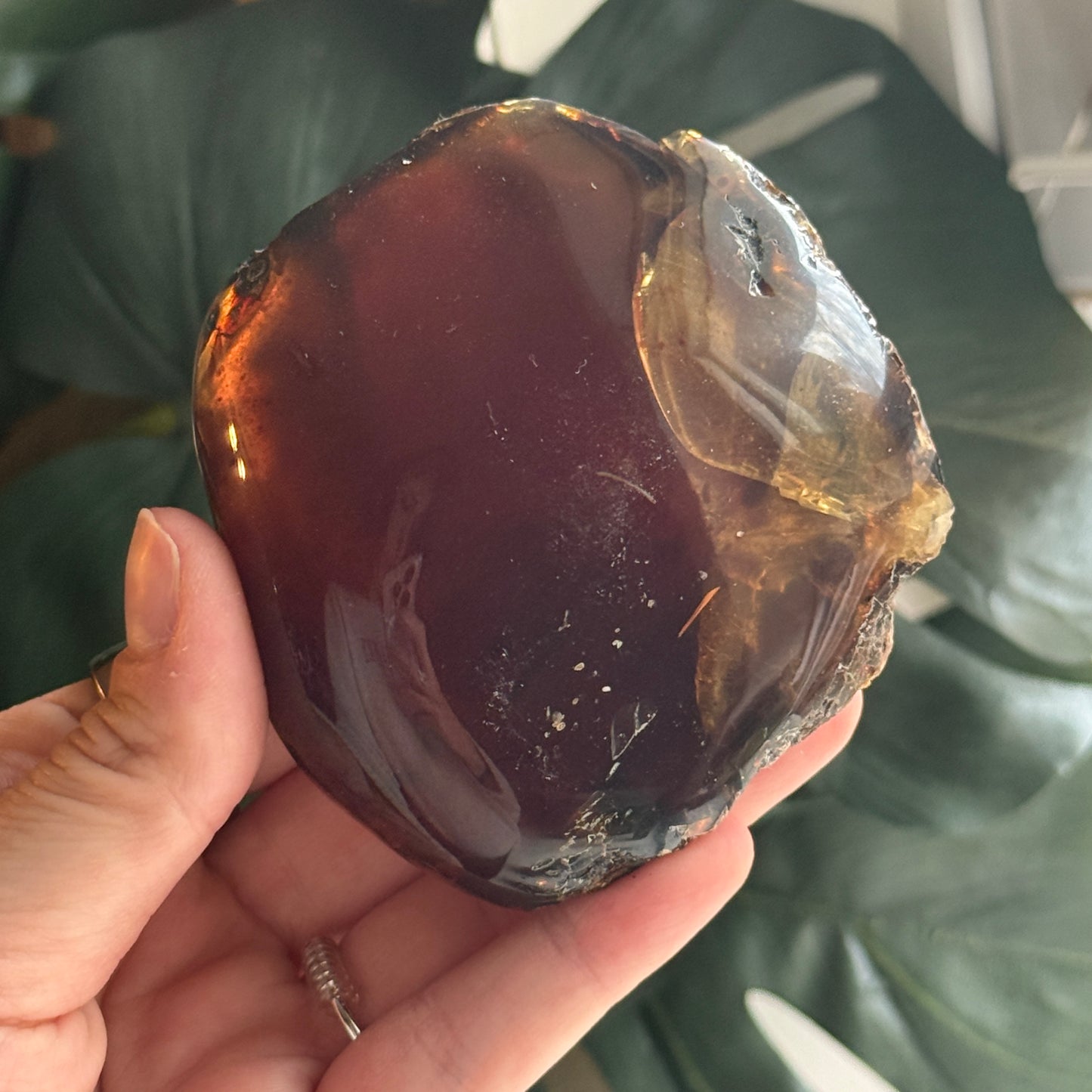 Sumatran Amber