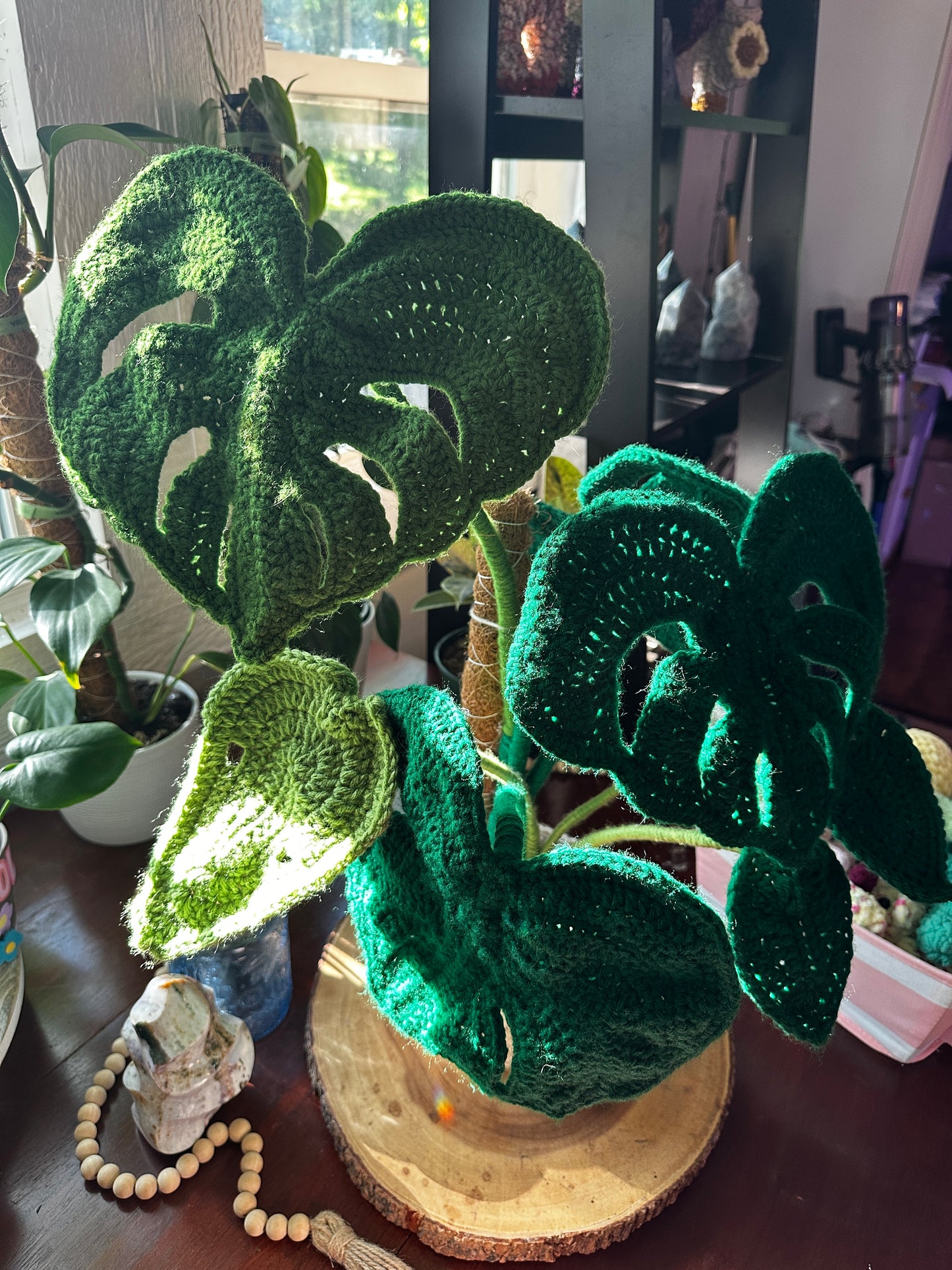 Crochet Monstera