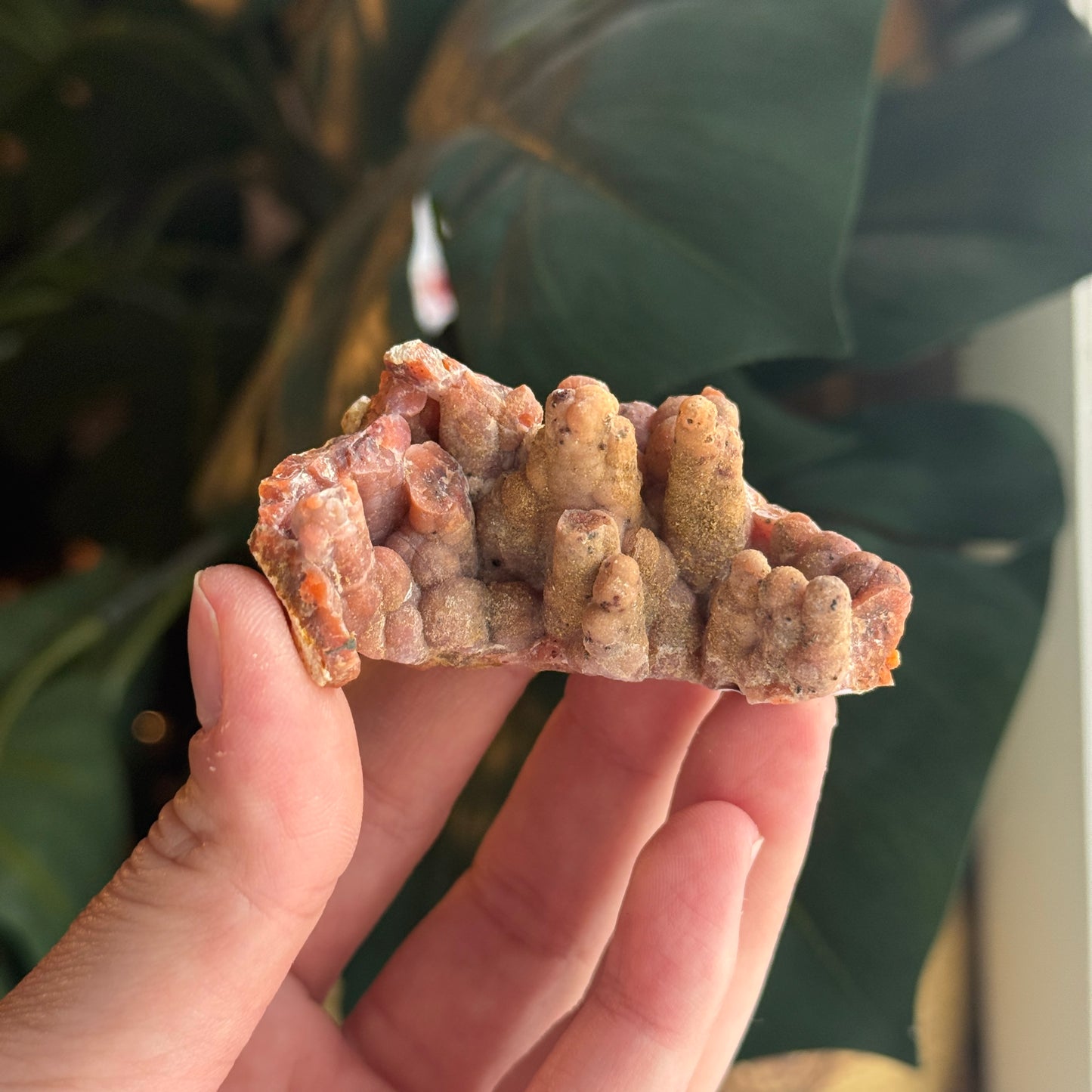 Botryoidal Chalcedony