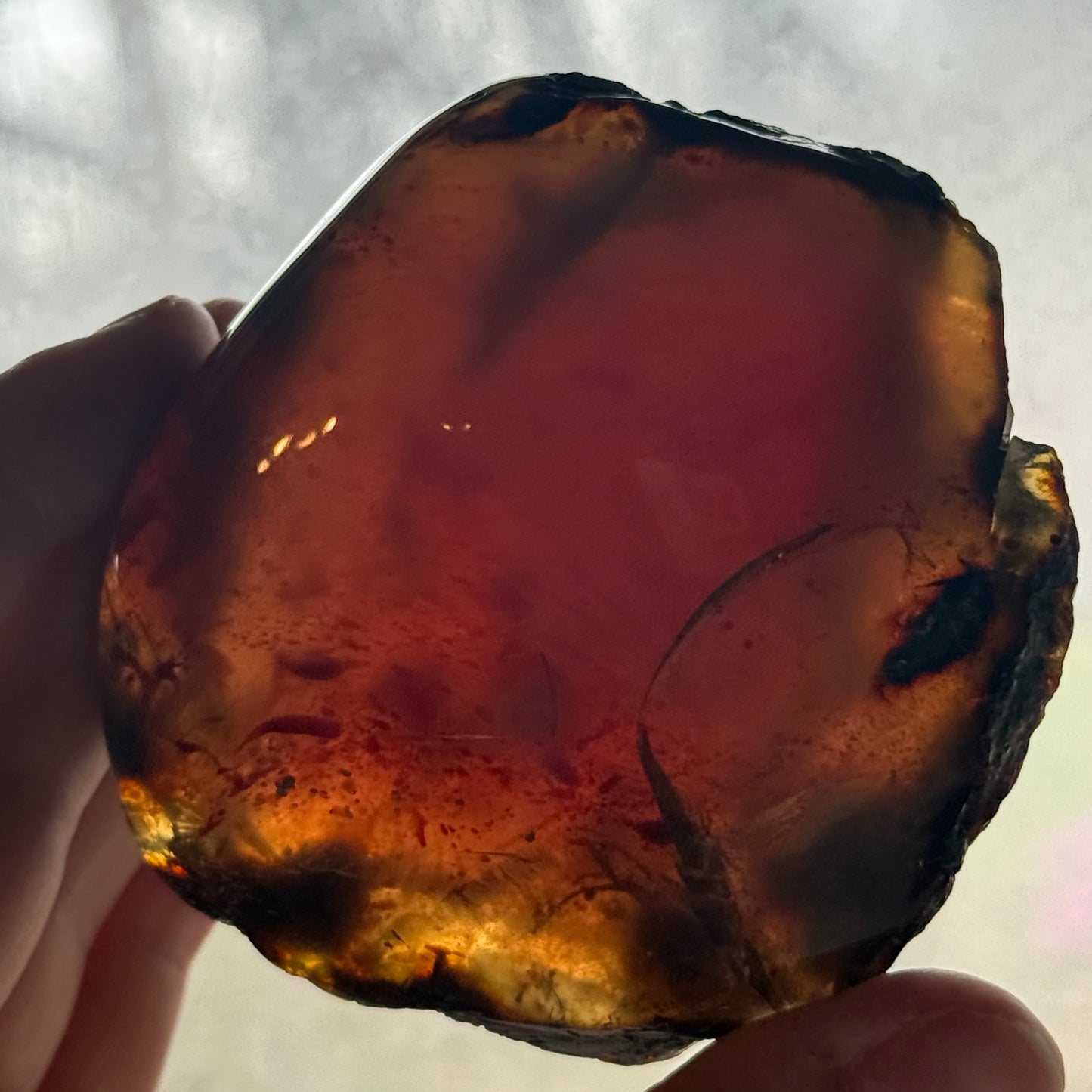 Sumatran Amber