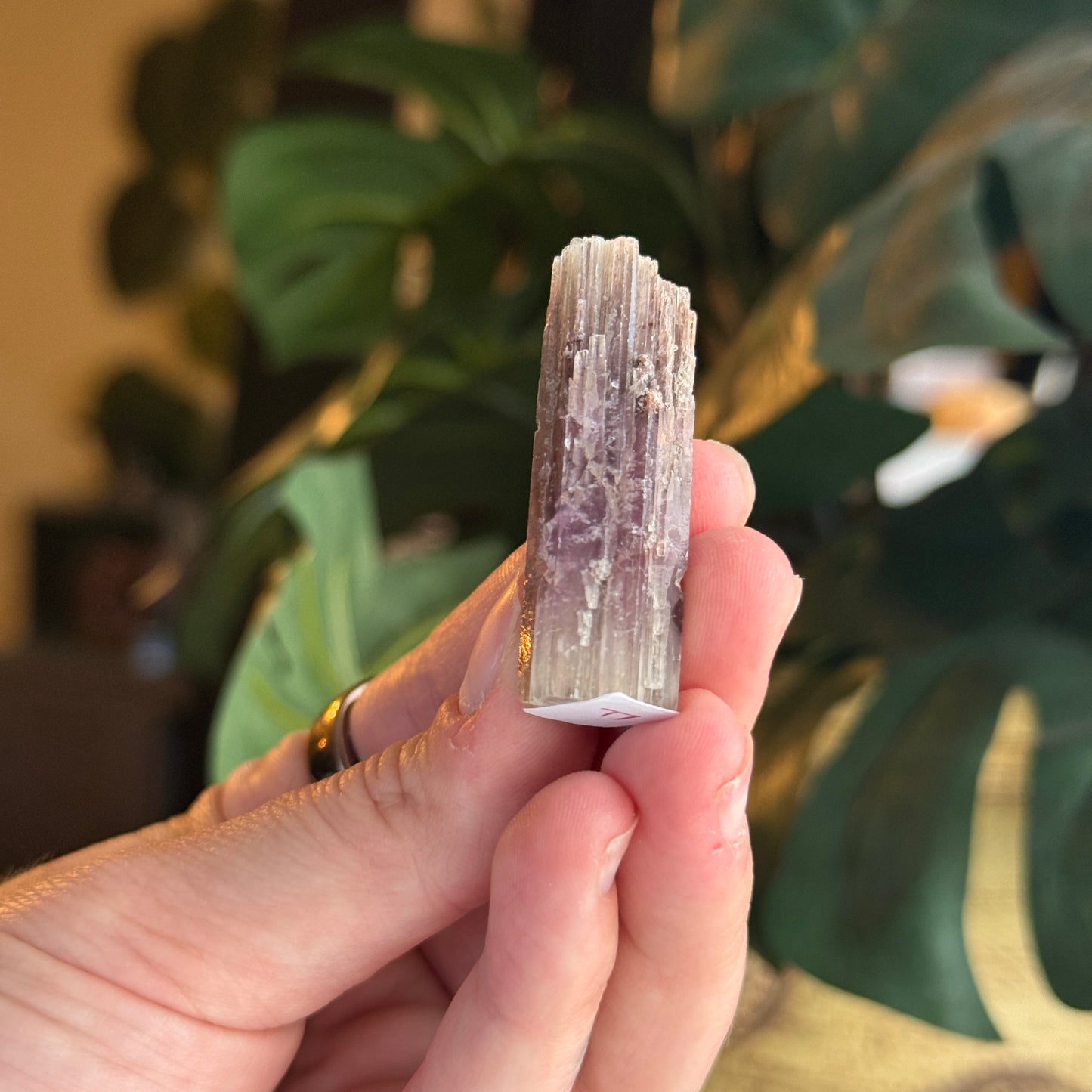 Purple Aragonite
