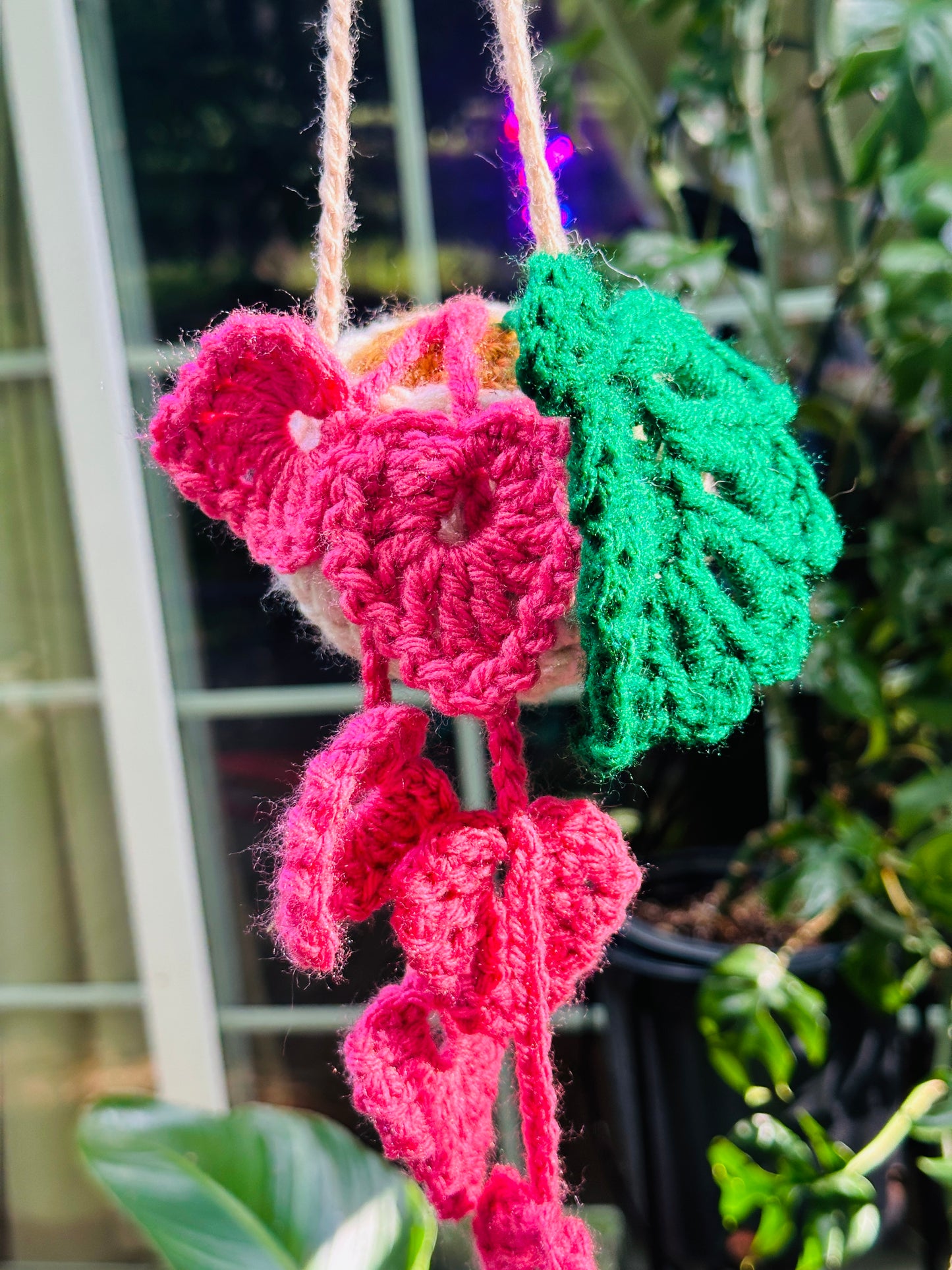 Crochet Hanging Plant