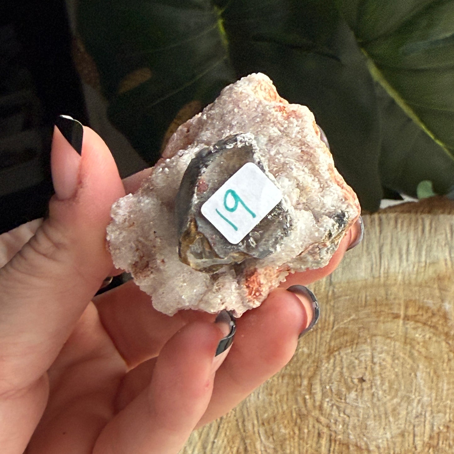 Creedite Specimen