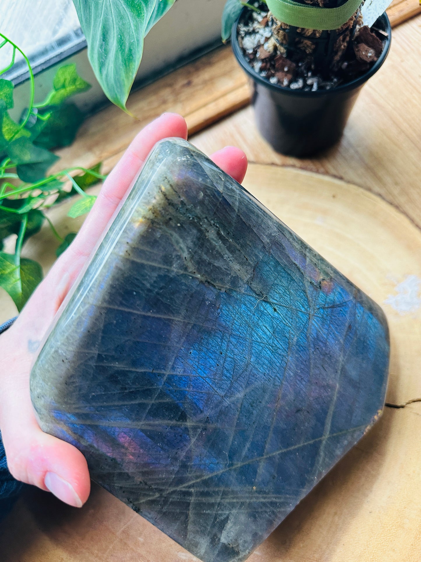 Labradorite Polished Freeform