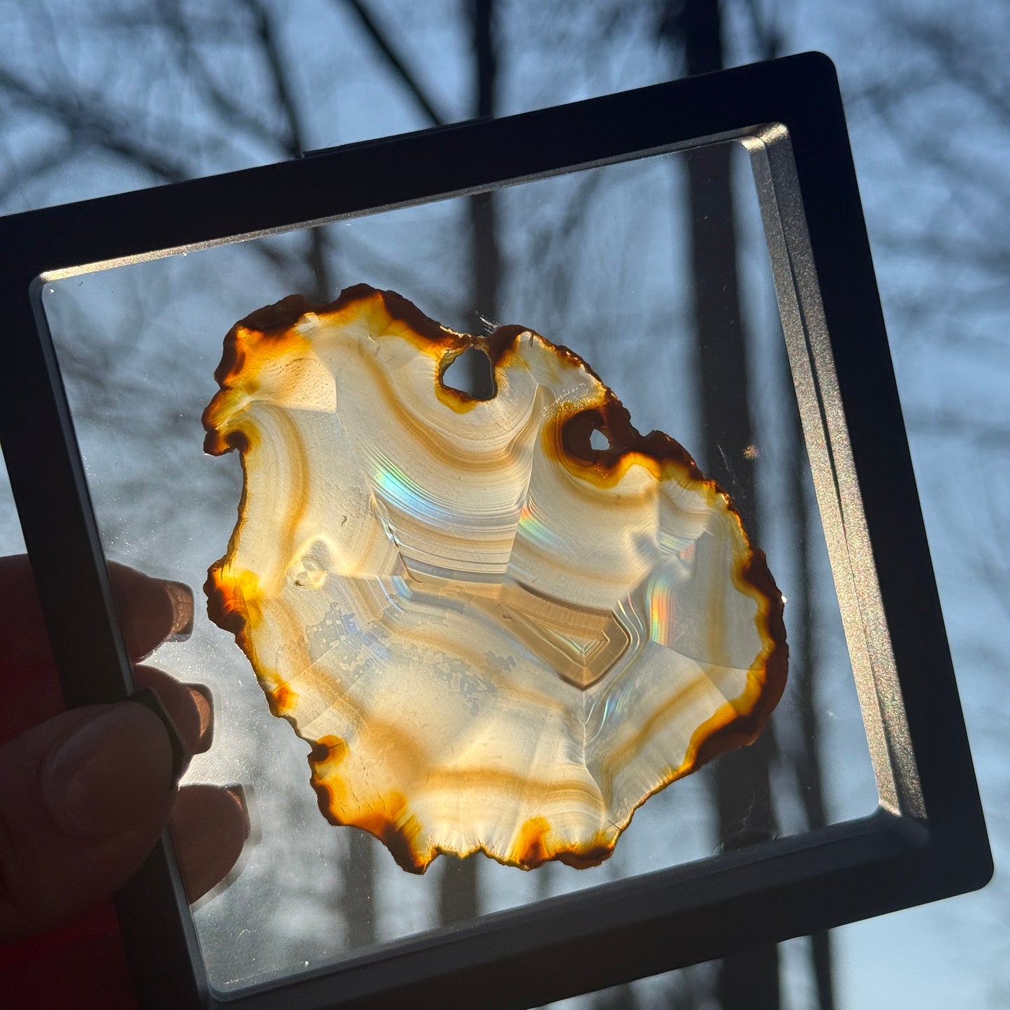 Iris Agate K