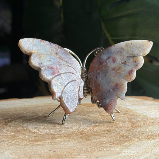 Jasper Butterfly A