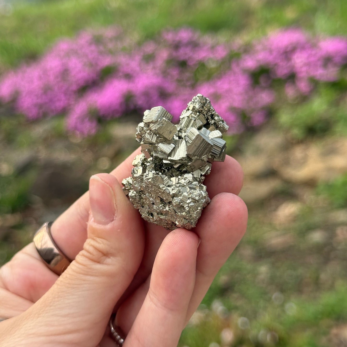 Cubic Pyrite
