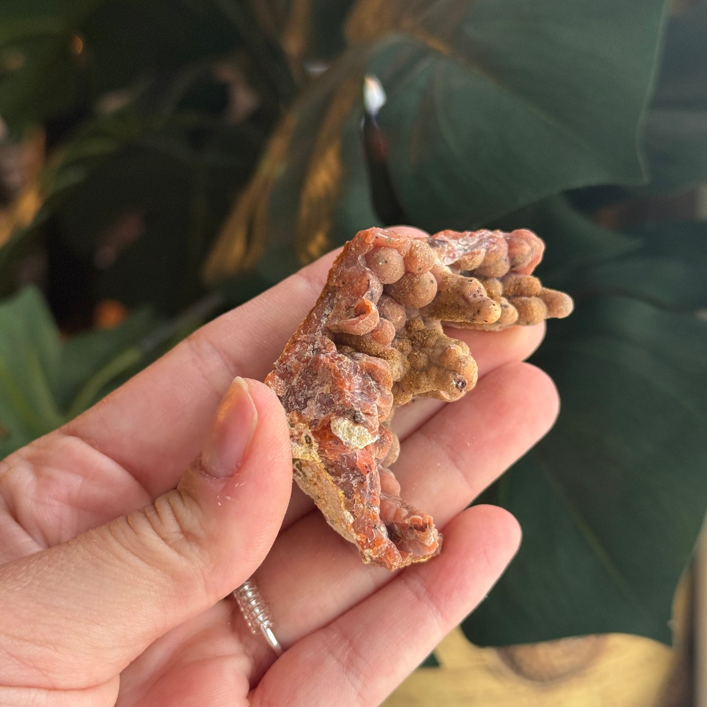 Botryoidal Chalcedony