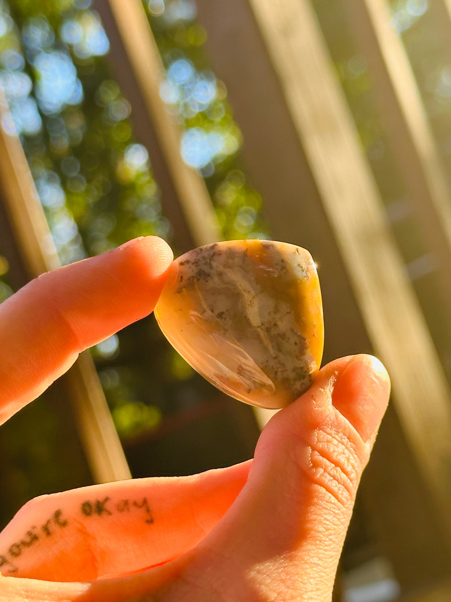 Ocean Jasper Cabochon