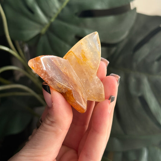 Fire Quartz 3D Butterfly A