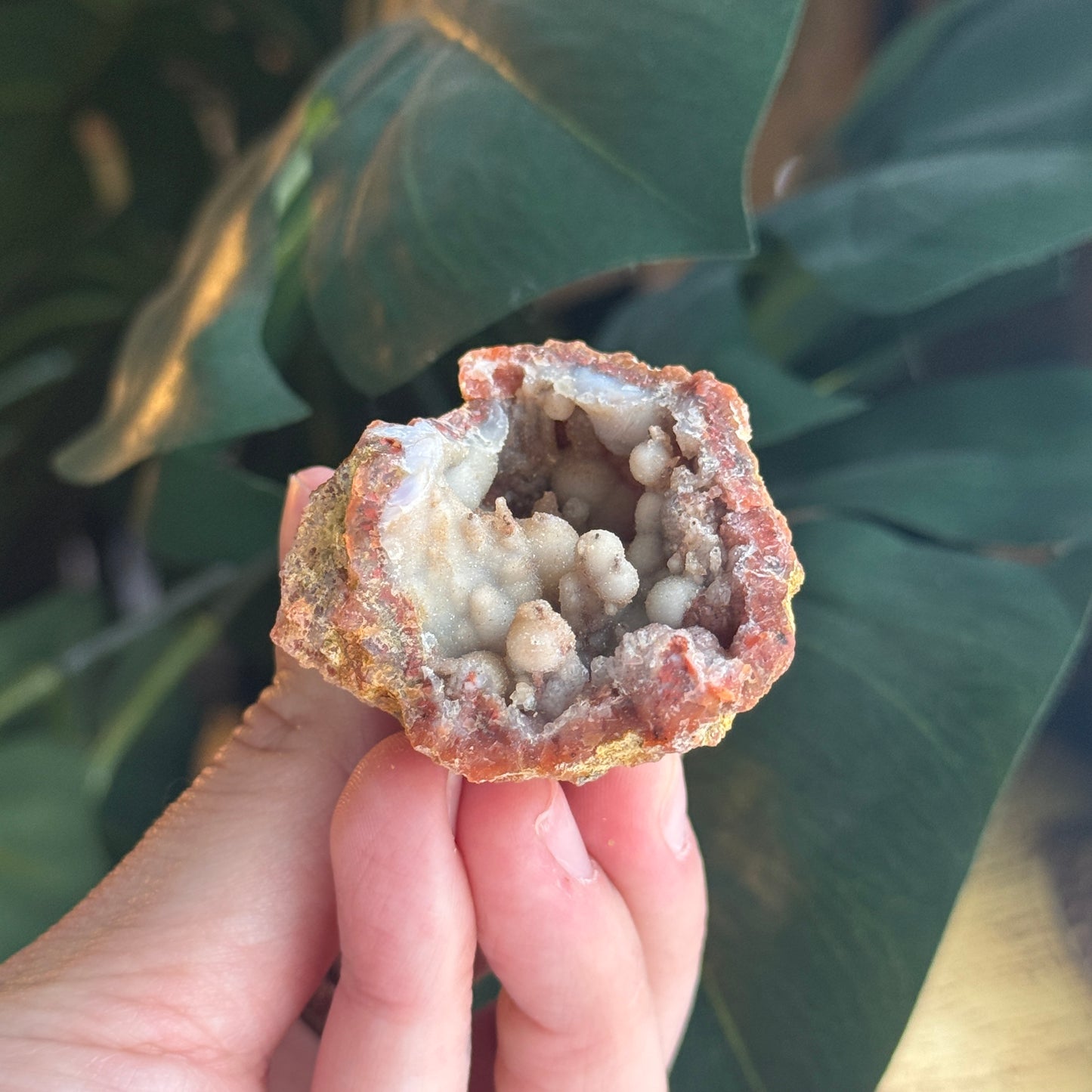 Botryoidal Chalcedony