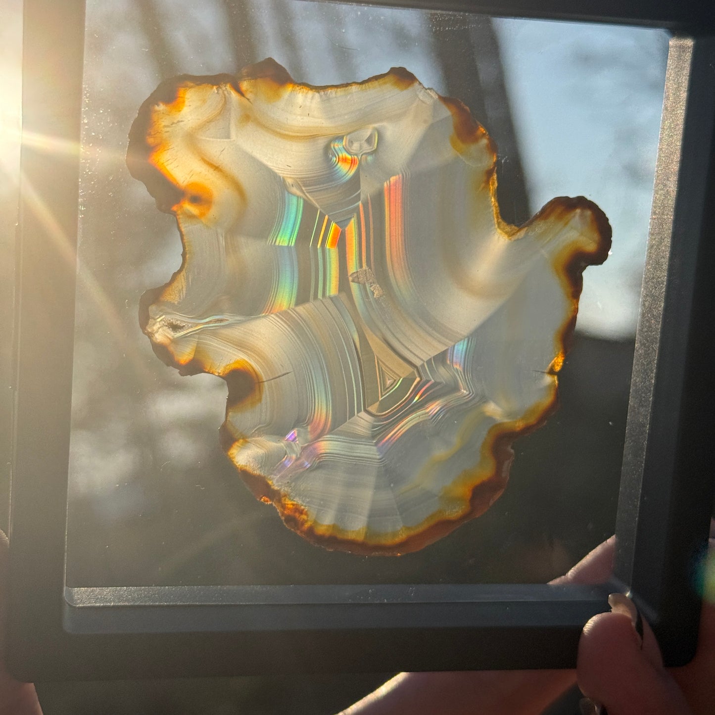 Iris Agate A