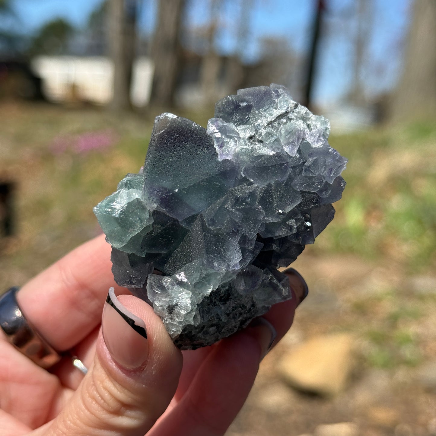 Cubic Fluorite
