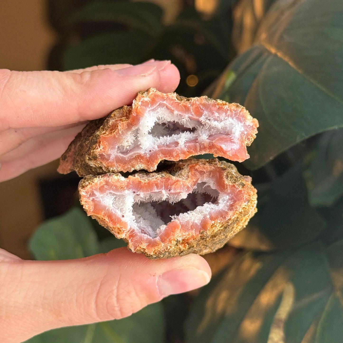 Botryoidal Chalcedony Raw Geode *PAIR*