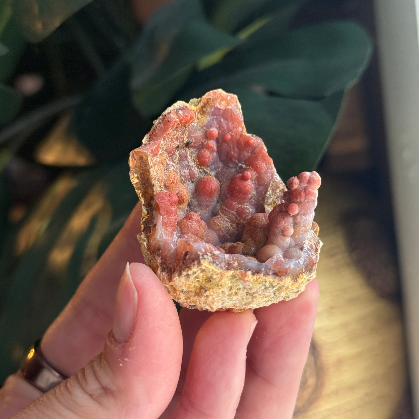 Botryoidal Chalcedony Stalactite