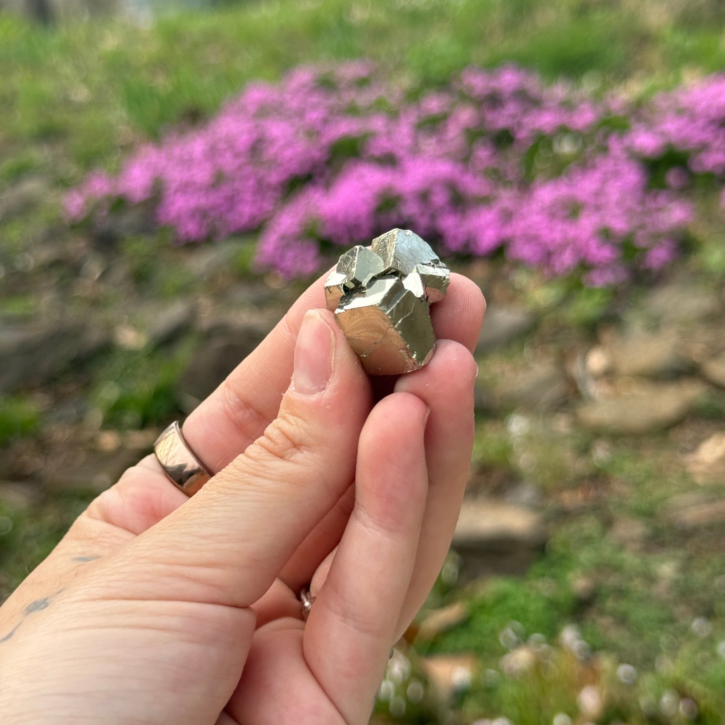 Cubic Pyrite