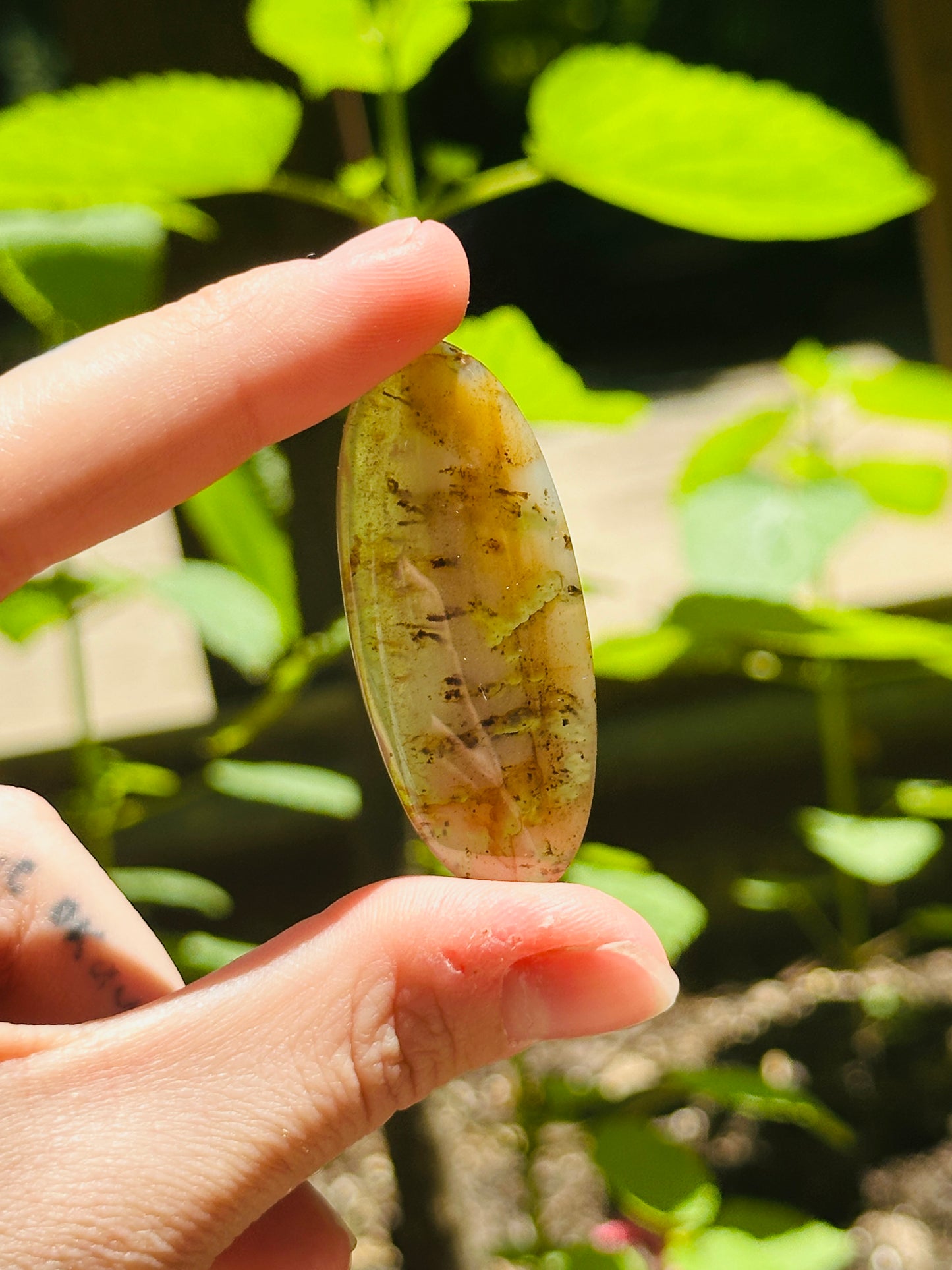 Montana Agate Cabochon