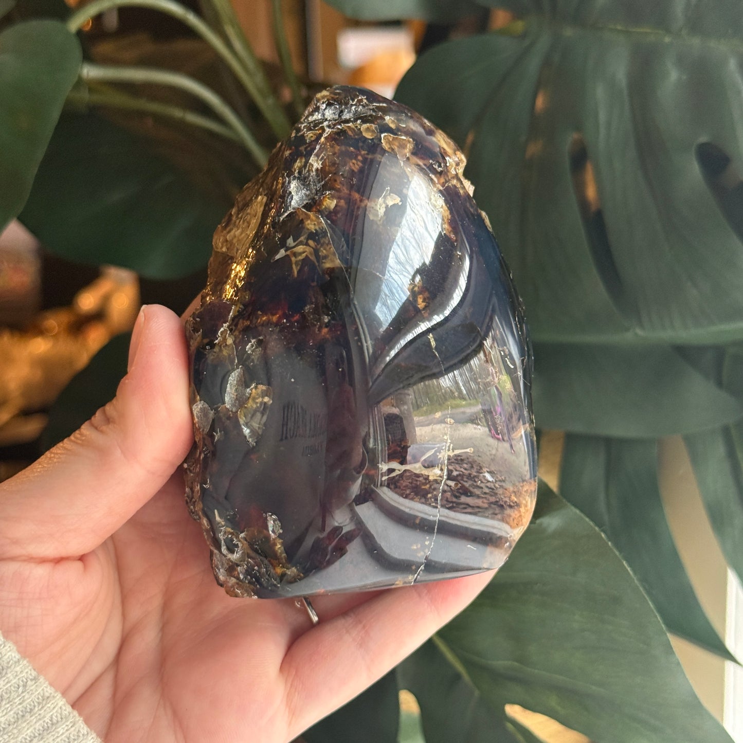 Sumatran Amber