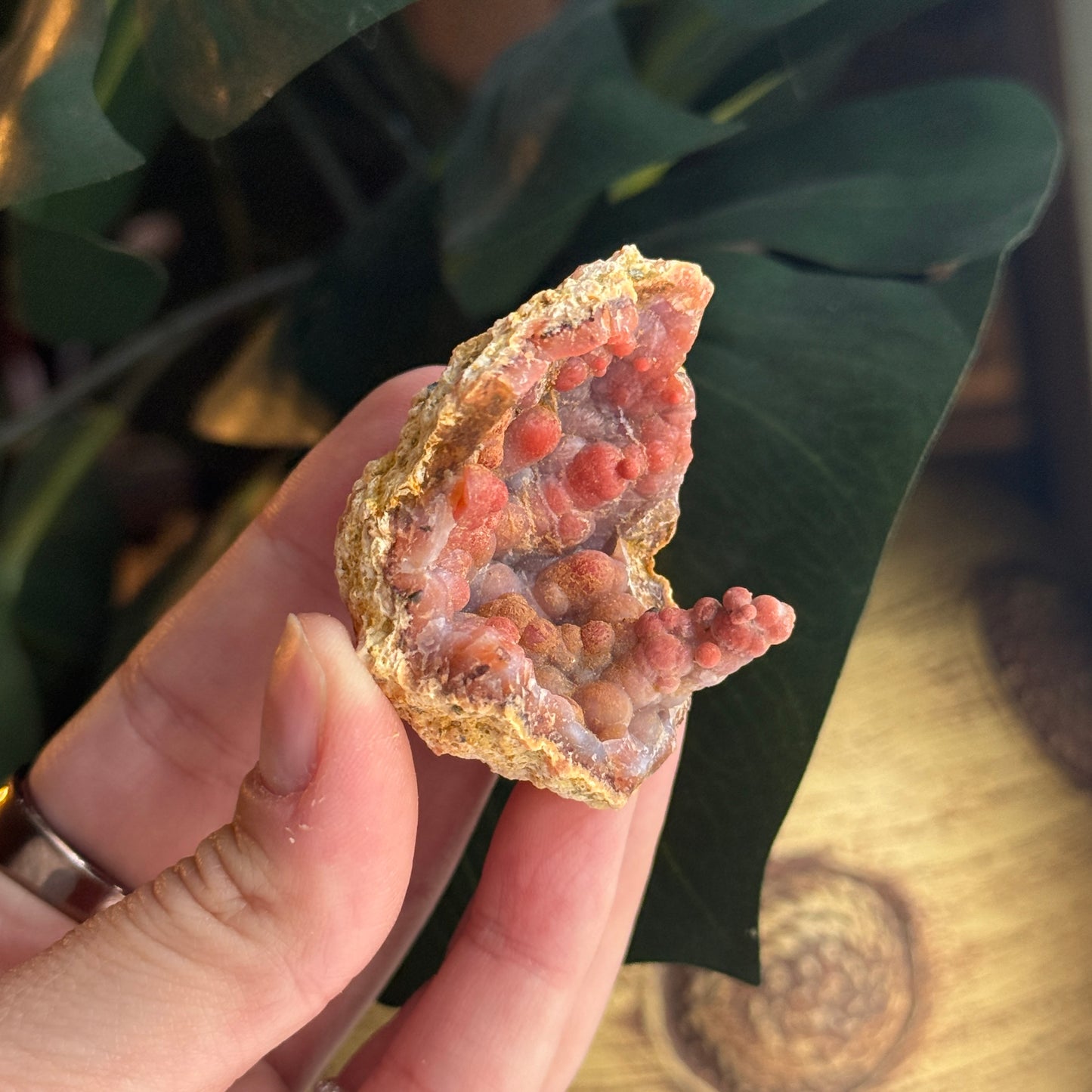 Botryoidal Chalcedony Stalactite