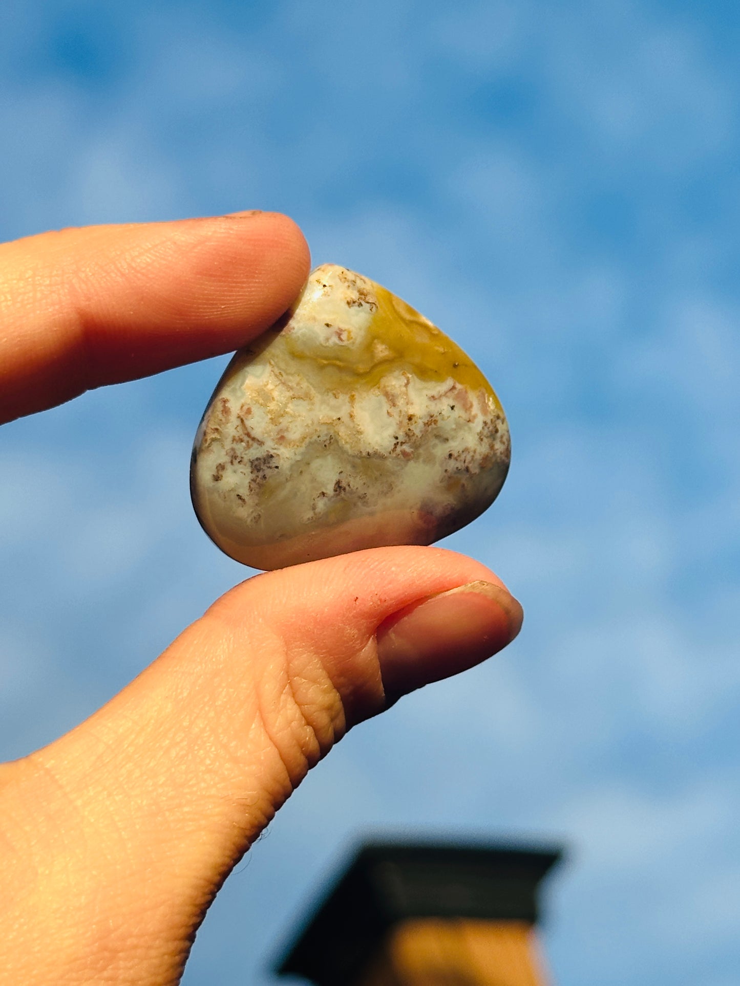 Ocean Jasper Cabochon