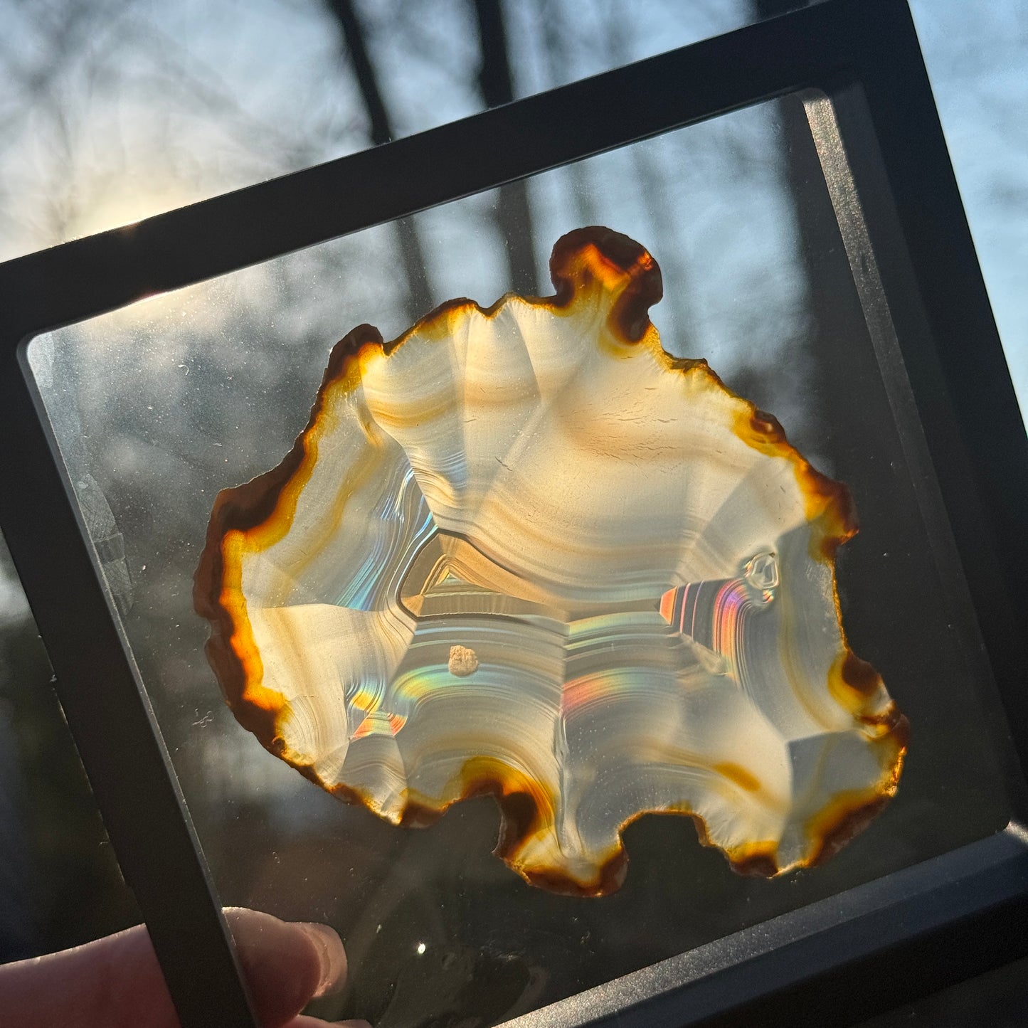 Iris Agate C