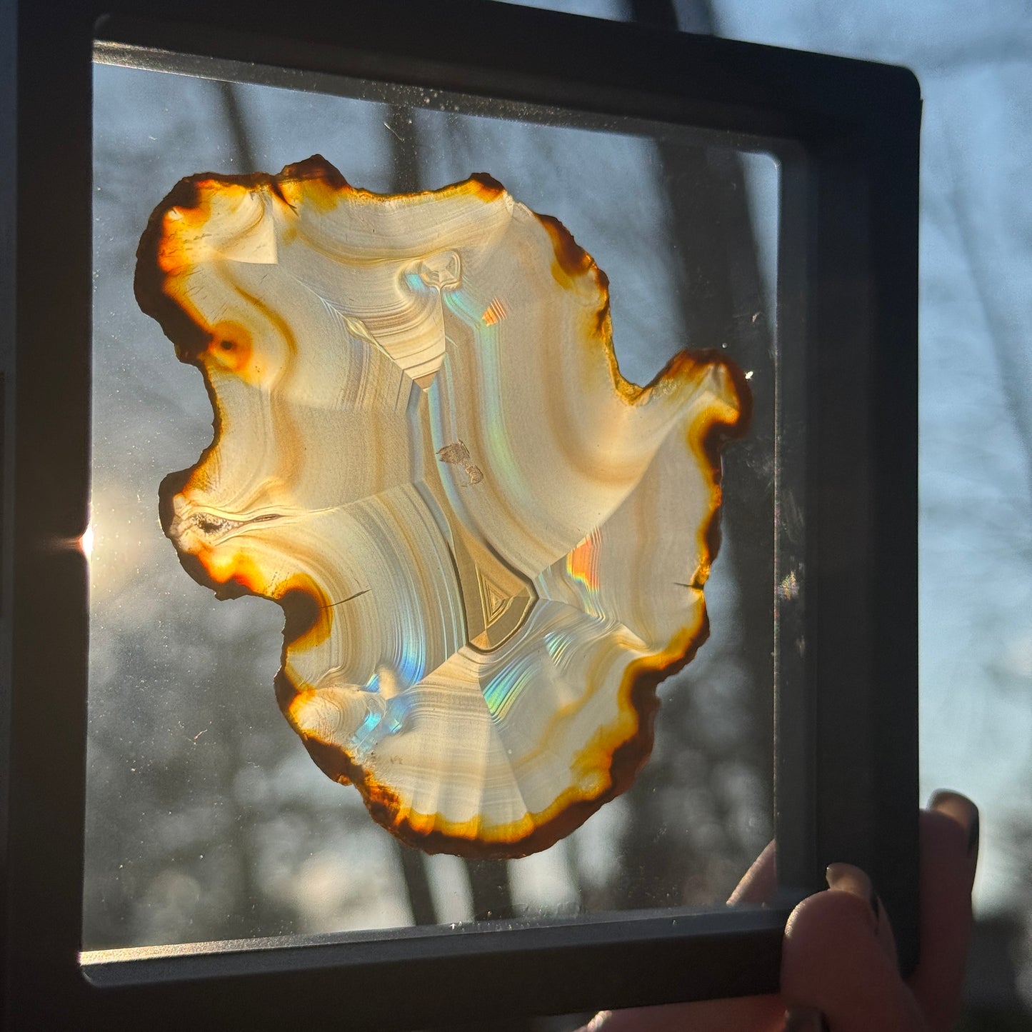Iris Agate A