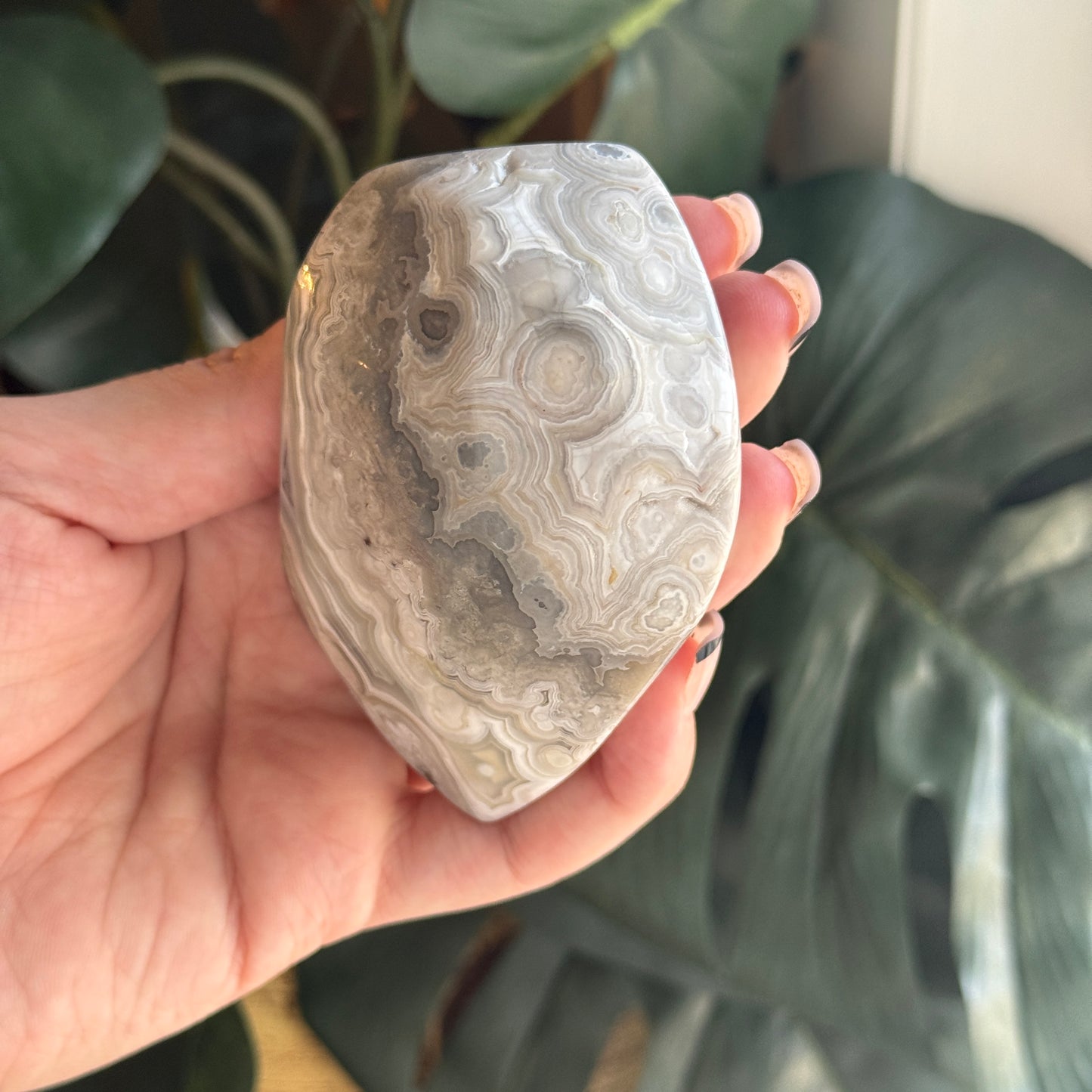 Crazy Lace Agate