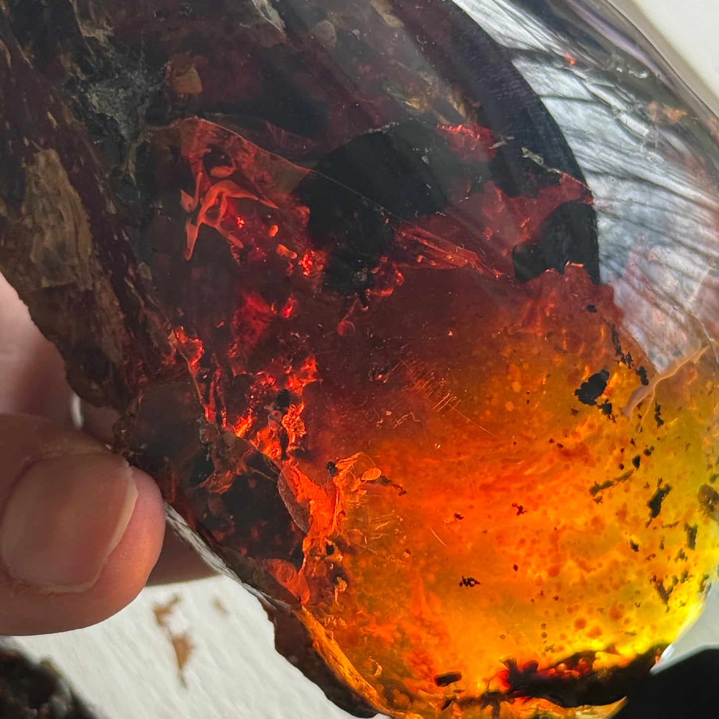 Sumatran Amber
