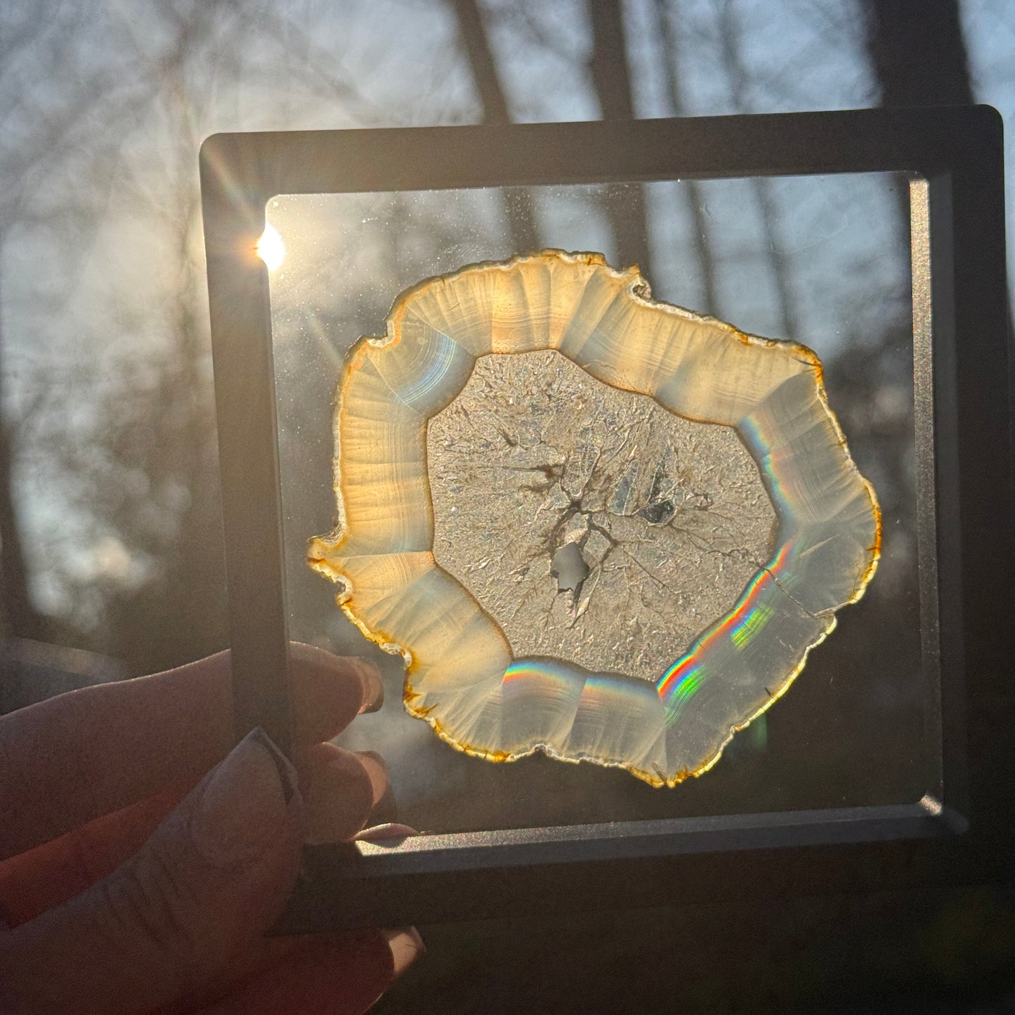 Iris Agate E