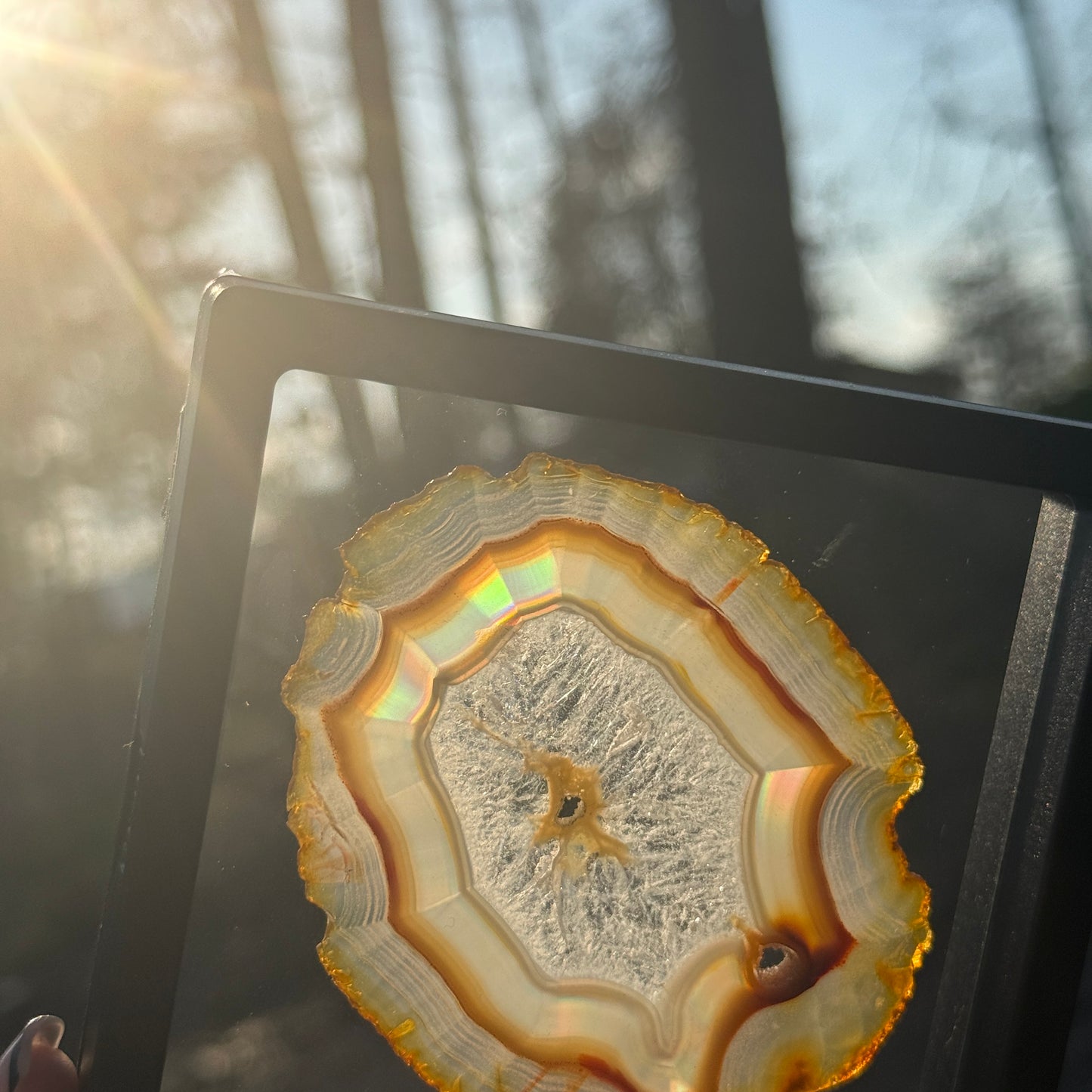 Iris Agate B