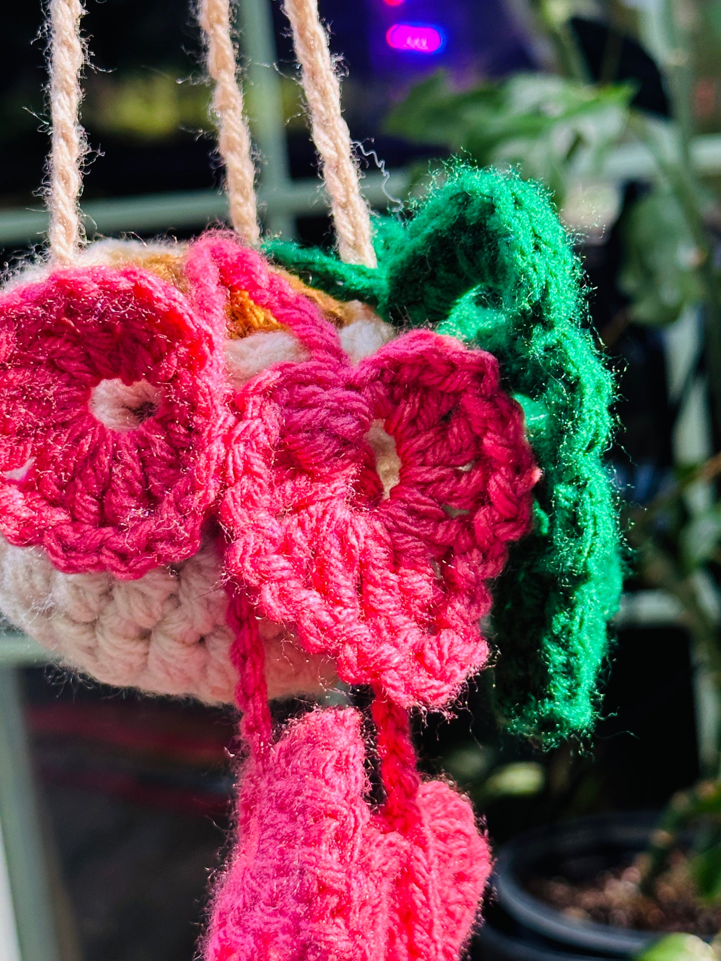 Crochet Hanging Plant