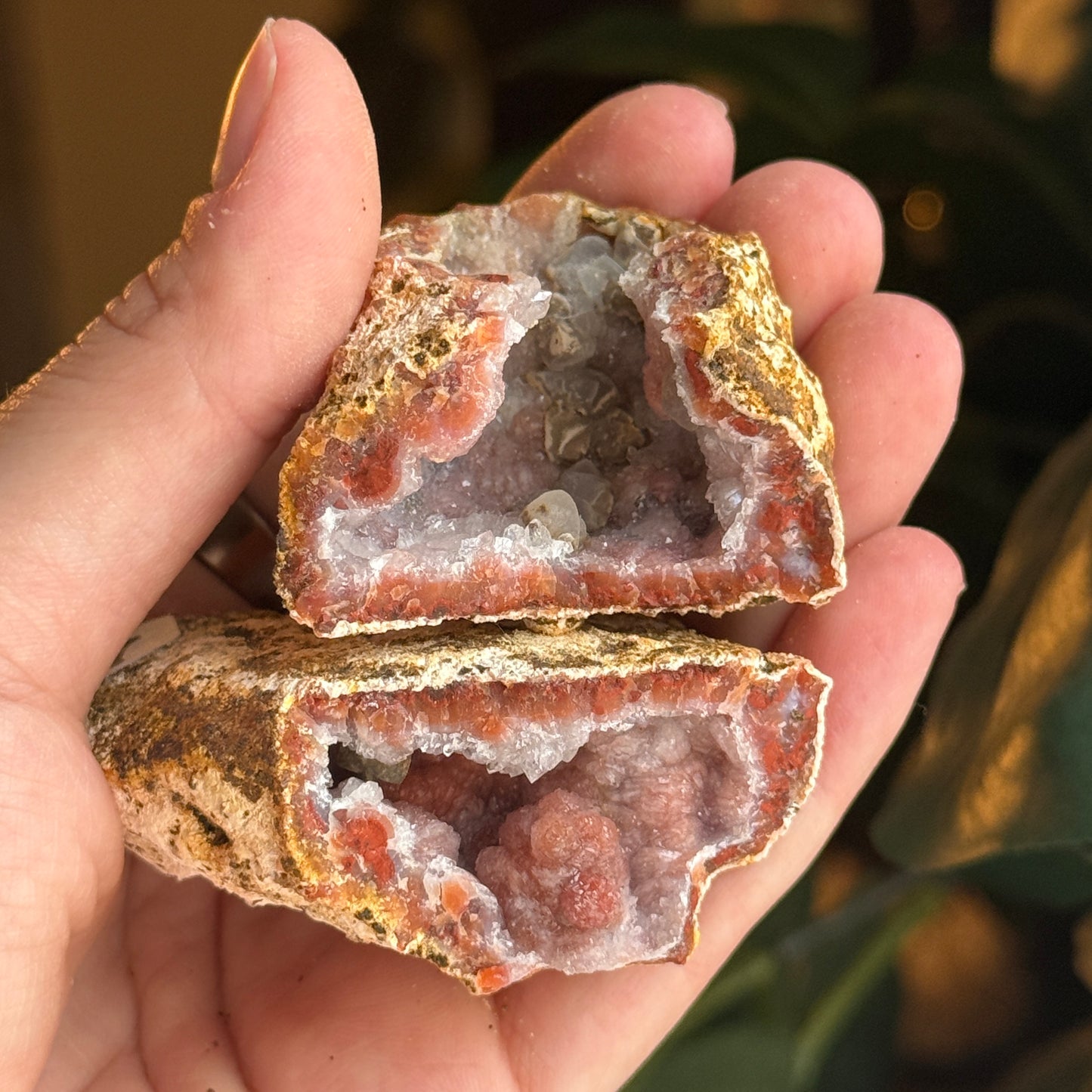 Botryoidal Chalcedony Raw Geode *PAIR*