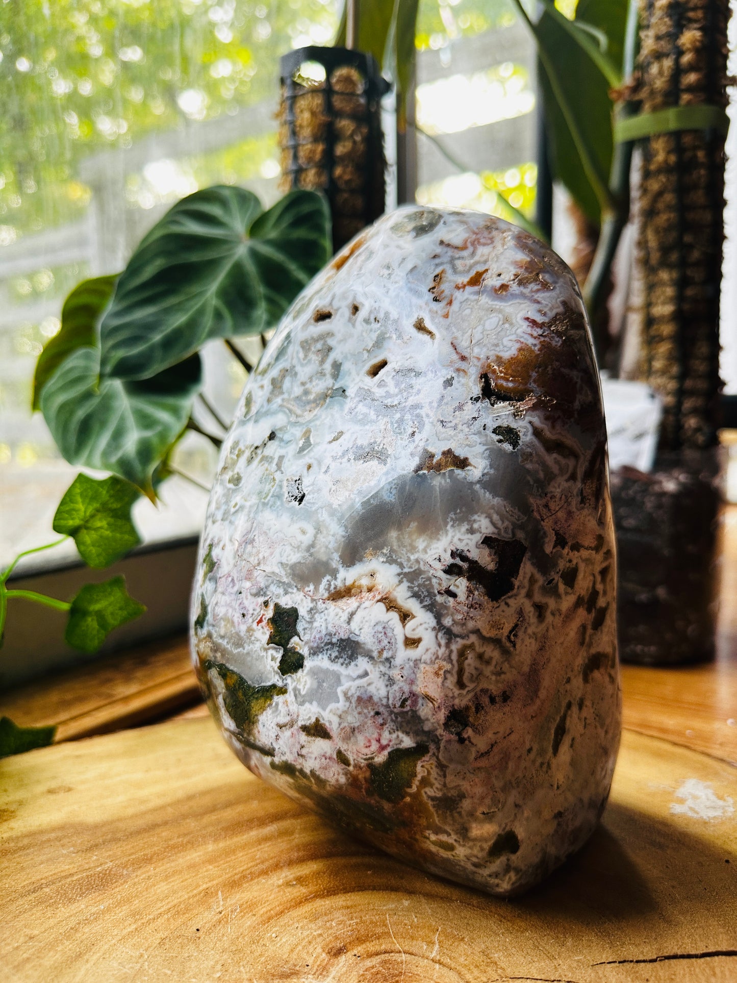 Jasper Freeform 8lbs