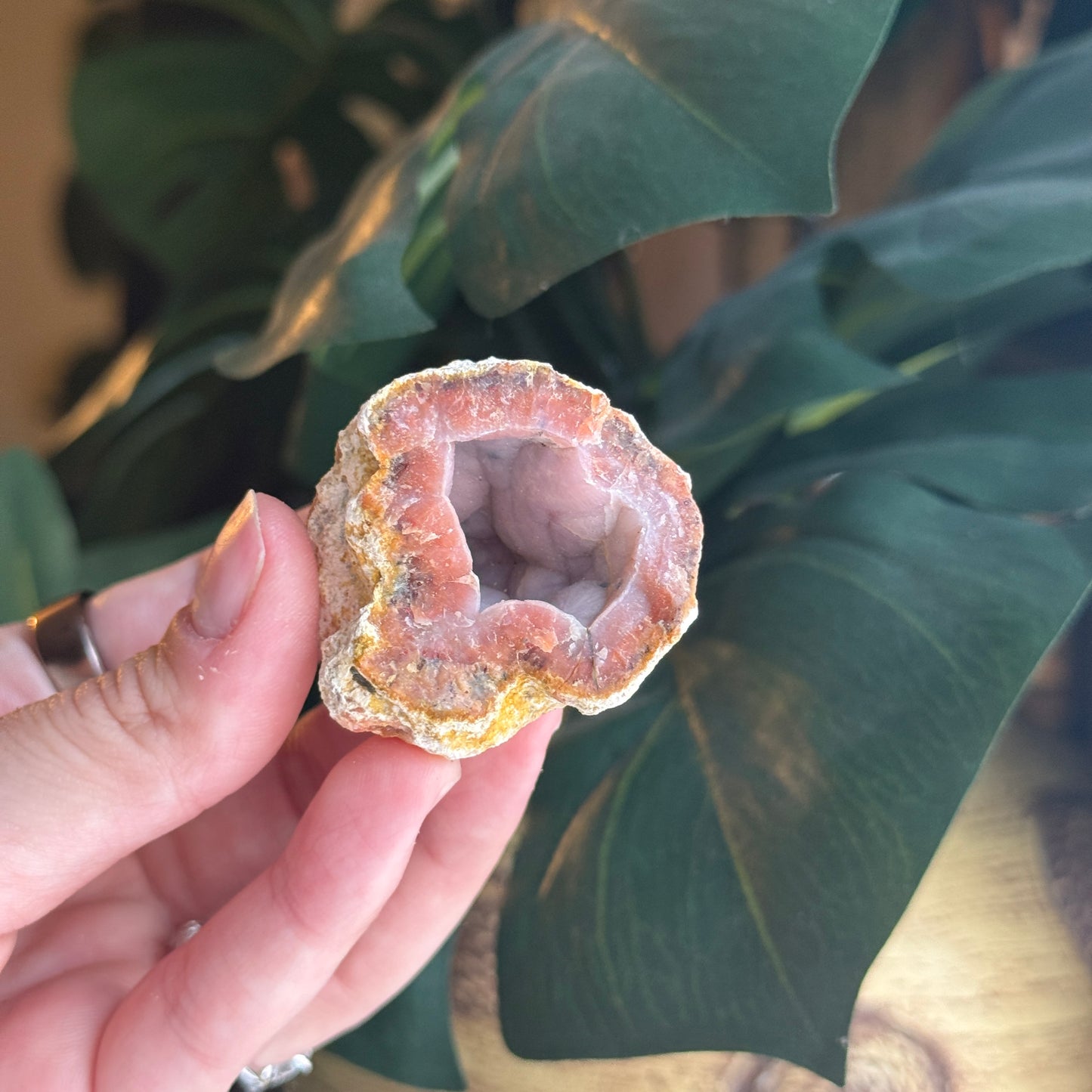 Botryoidal Chalcedony