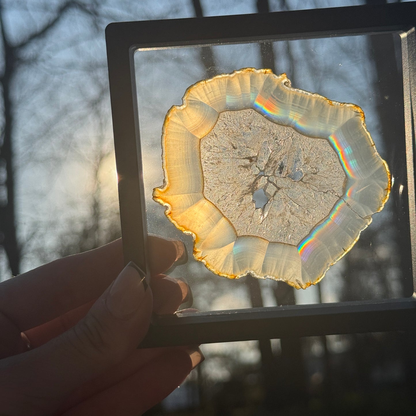 Iris Agate E